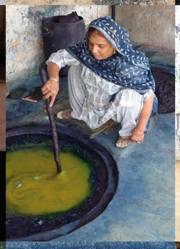 Indigo, un périple bleu – Bibliothèque Forney