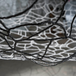 Avis de passage, Nadya Bertaux (F)