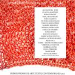 Premio Arte Textil Contemporáneo 🌐