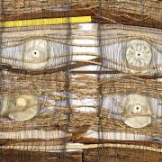 A découvrir sur le site AWARE : “Madame Zo”