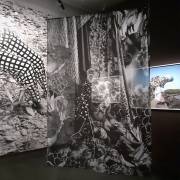 KEISHA SCARVILLE (F), ALMA