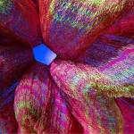 Janet Echelman: Radical Softness  🌐